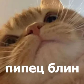 😐