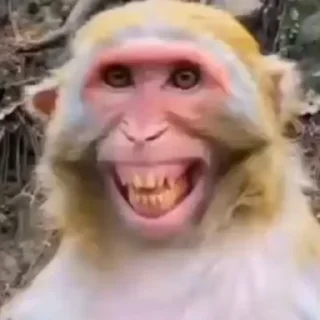 🤣