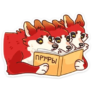 📚