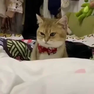 😏