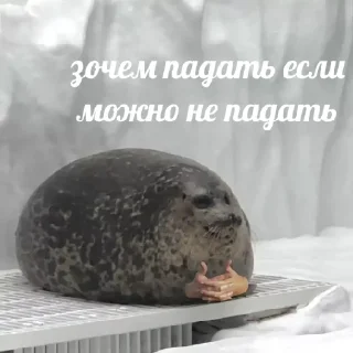 НапряжЭние