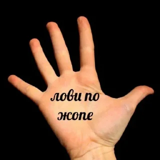 ✋