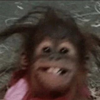 😁