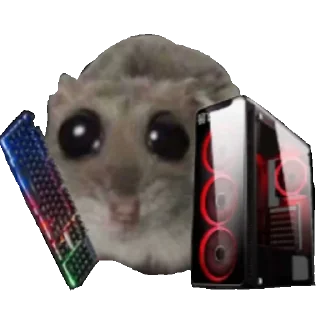 🖥