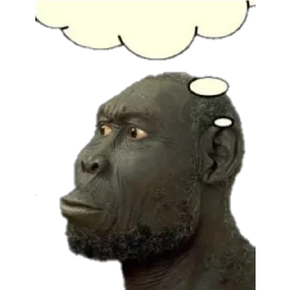 🐵