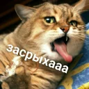 😳
