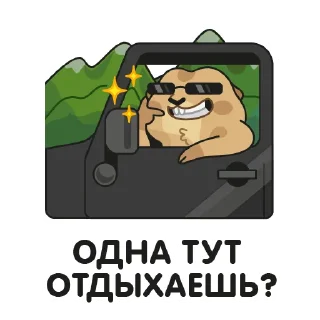 😎