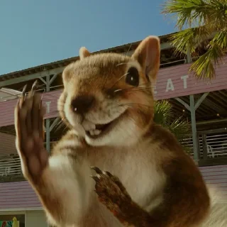 🐿