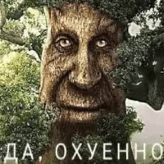 😎