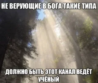 🧂