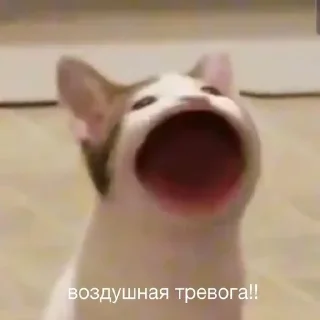 😵