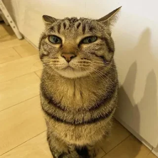 🤨