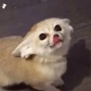 😗