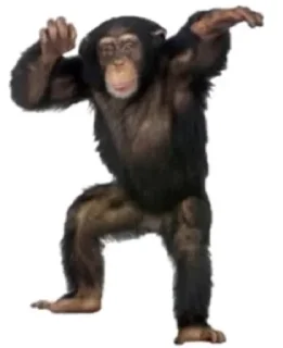 🗿