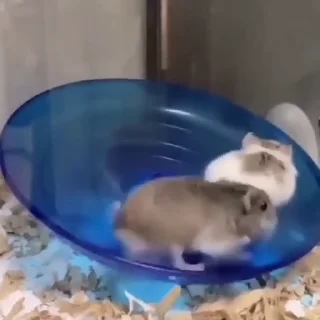 🏃