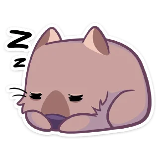😴