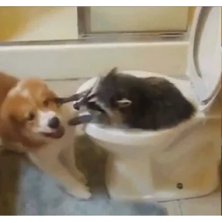 👊