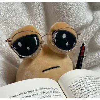 💩