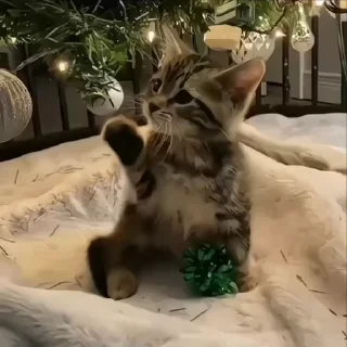Все стикеры тут👉 @toyouxd