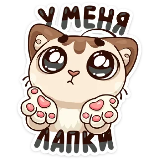 🐾