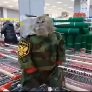 🤩