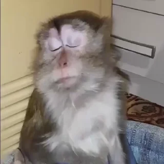 🥺