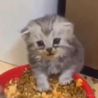 😣