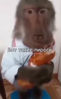 🙈