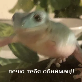 🤗