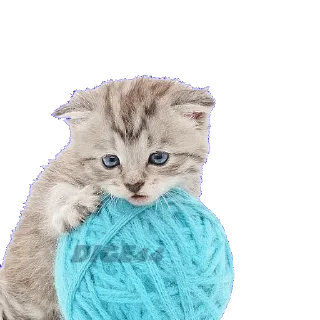 🧶