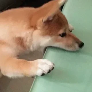 😩