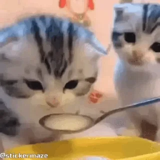 🥄