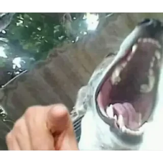 🤣
