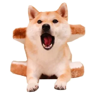 🐶