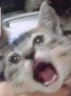 😭