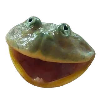 🐸