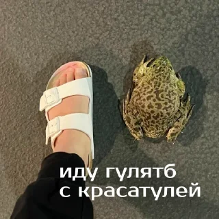 🚶‍♀️