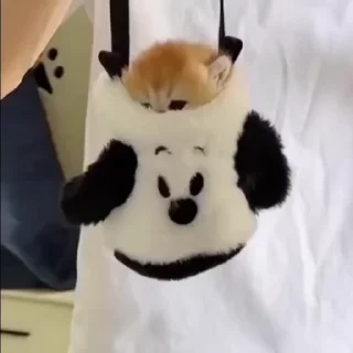 👜