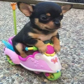 💨