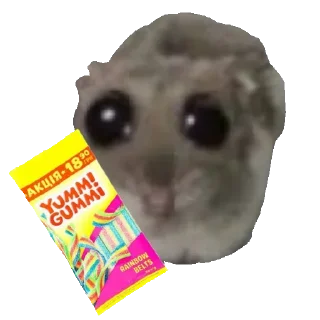 🍬