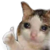 Catto