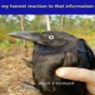 😳