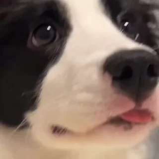 😳