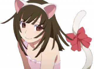 🐱