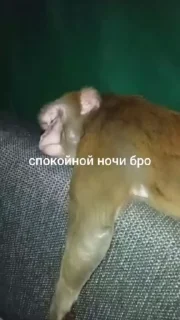 😱