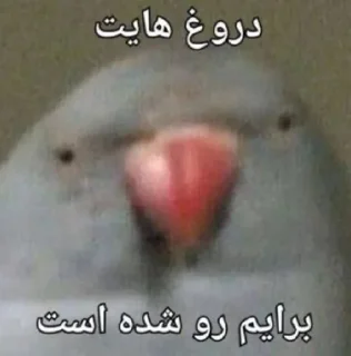 👎