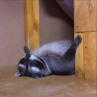 🫠
