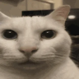 💀