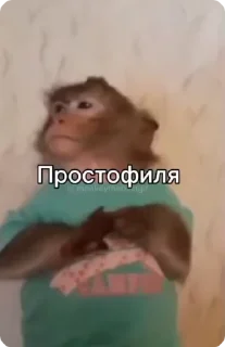 🌟