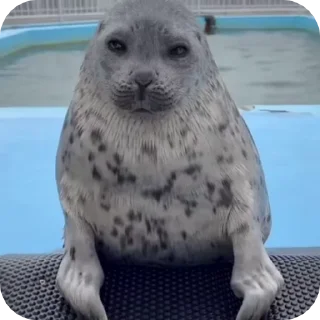 😑
